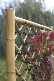 Diy Weave A Bamboo Fence Just What I Ve Been Looking For Bamboo Garden Bamboo Diy Bamboo Fence Ideas