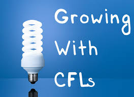 Cfl Grow Lights A Beginner S Guide To Growing With Cfls
