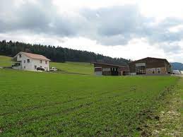 Je vais aux antilles toutes les années et je ramène du rhum agricole à 50° pour faire du punch. Prix Des Domaines Agricoles Stables Dans Le Jura Republique Et Canton Du Jura