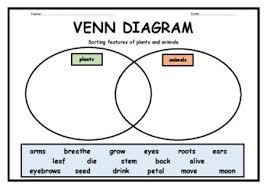Check spelling or type a new query. Plant And Animal Venn Worksheets Teaching Resources Tpt