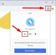 Welcome to your password manager. How To Manage Saved Passwords In Google Chrome