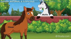 Animal Farm - Characters Overview - Characters - Edexcel - Gcse English  Literature Revision - Edexcel - Bbc Bitesize