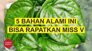 Setelahnya masukkan mangkuk berisi campuran tersebut ke. 5 Cara Alami Merapatkan Miss V Youtube