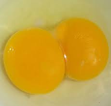 Five Out Of Seven Eggs So Far In My Carton Of Dozen Eggs Had Double Yolks I Wonder If That S Bad Luck Or Good Luck Double Egg Yolk Eggs Yolk