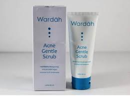 Anda bisa memilih salah satu. 8 Rekomendasi Produk Wardah Untuk Menghilangkan Bekas Jerawat Update 2020