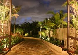 Check spelling or type a new query. Lighting Texas Palms Trees Creates A Paradise In Your Evening Landscape Outdoor Lighting Perspectives Of San Antonio