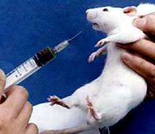 Image result for Amrinone