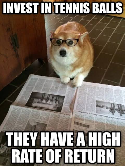 images?q=tbn:ANd9GcSntYuu8effuoq6BbW6HhD6JhmrowKk66MzFA