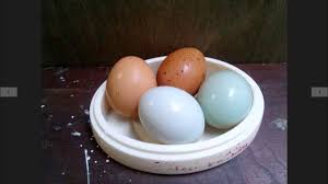 Maybe you would like to learn more about one of these? Smamsevensby Pembuatan Telur Asin Dari Telur Ayam Dan Telur Bebek Smam7sby Youtube