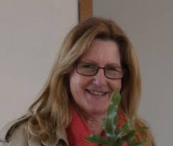 ANNUAL REPORT 2016 2017