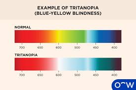Image result for Color Blindness