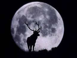 The name buck moon arises from a traditional name from the algonquin tribes, according to a nasa july 2021 moon. Cxakg25f5vkism