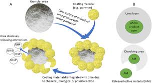 The last fertilizer pellet is even and smooth, intensity is high, pellet length can be adjusted 2. Development Of Fertilizers For Enhanced Nitrogen Use Efficiency Trends And Perspectives Sciencedirect