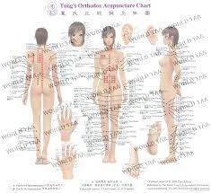 Tungs Acupuncture Body Chart Acupuncture Body Chart