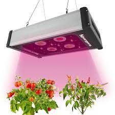 Finding the best led grow light might be a challenging endeavor. Amazon Com Hipargero Hipargero Led Grow Lights