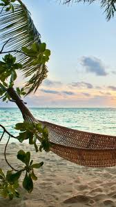 We did not find results for: Tropical Beach Whatsapp Wallpaper Novocom Top
