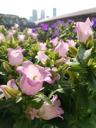 Maybe you would like to learn more about one of these? Spring Finds At Minneapolis Farmers Market Minnesota Monthly