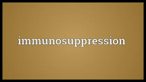 What causes someone to be immunocompromised? Immunosuppression Meaning Youtube