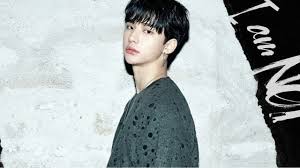 Special appearance by hyunjin (stray kids). Hyunjin Stray Kids Profile And Facts Updated