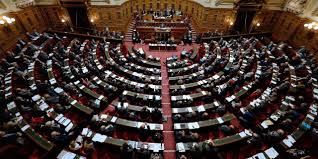 Première grande réforme sociétale du. Pma Pour Toutes Le Senat Adopte De Justesse Le Projet De Loi Bioethique