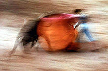 Image result for Ernst haas