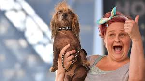 Look back at 15 years of winners from california's famous world's ugliest dog contest. In Pictures Not So Pretty Pooches Vie For Ugly Dog Crown Bbc News