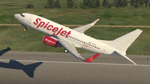Spicejet Boeing 737 700 Vt Slb Wl Asafoetida Aircraft Skins Liveries X Plane Org Forum Bidirectional vt is another type of polymorphic vt, most commonly associated with digoxin toxicity.