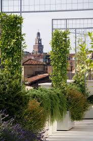Milano Could Grow Fruiting Vines Over The Frames Green Roof Garden Terrace Garden Roof Garden