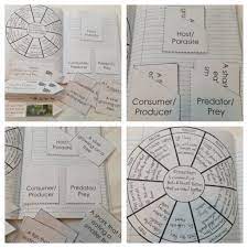 Interactions In An Ecosystem Interactive Notebook Pages Kesler Science Interactive Notebooks Decomposers Activity Ecosystems Interactive Notebook