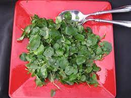 Referred to as the poor man's food in england, in the early 1800s, watercress sandwiches were a staple breakfast for the working class. An Elegant And Simple Watercress Salad Ensalada De Berros Simple Spanish Food