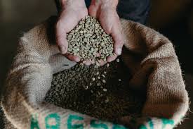 Check spelling or type a new query. Mycotoxin Free Coffee Byron Bay Coffee