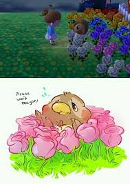 Adorable Ds And Duck Image Animal Crossing Funny Animal Crossing Game Animal Crossing