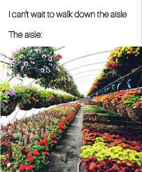 Homestead Farms Greenhouse & Nursery