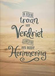 Pin Van Joke De Op Teksten Teksten Inspirerende Citaten Coole Woorden