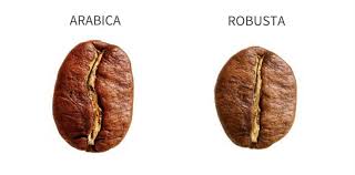 Saying no will not stop you from seeing etsy ads, but it may make. All You Need To Know About Coffee Oromo