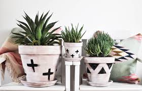 Did you scroll all this way to get facts about cactus pot ? How To Painting Terracotta Pots Love And Specs