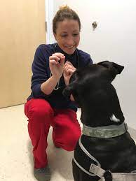 Maybe you would like to learn more about one of these? Home Veterinary Urgent Care Center