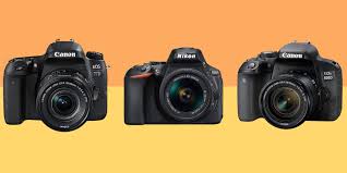 Without a doubt, dslr cameras have been a popular choice among photographers for many years now. Best Dslr Cameras The Best 7 Beginner And Intermediate Dslr Cameras