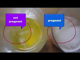 Pin On Pregnancy And Parenting