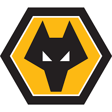Manchester city home shirt 2018 2019 sergio scala. Transparent Wolves Fc Logo Png
