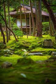 Kyoto S Moss Temple Steve Jobs Favorite Place In Japan Travel Caffeine Japan Travel Kyoto Japan Travel Kyoto Temple