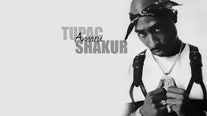 We did not find results for: Tupac Hd Wallpaper Background Image 1920x1080