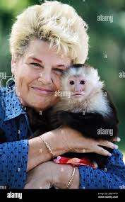 Deltona fl hi-res stock photography and images