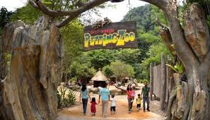 Lost World Of Tambun Theme Park And Resort Petting Zoo Theme Park Street View Resort
