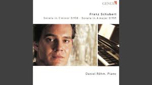 Piano Sonata No. 19 in C Minor, D. 958: I. Allegro