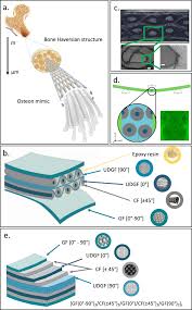 For the development of a functionally and mechanically appropriate bone structure. Bone Inspired Enhanced Fracture Toughness Of De Novo Fiber Reinforced Composites Scientific Reports
