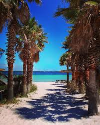 Palm Trees And 80 Degrees It S A Beautiful Monday In Pensacola Thealohamermaid Experiencepc Pensacola Beach Beaches In The World Beautiful Beaches