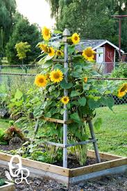 21 Flower Towers You Can Make In A Weekend Diy Garden Trellis Plants Backyard Garden