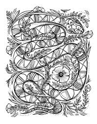 Download Sacred Animals Coloring Book Lydia Hess Illustration Design