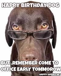 The best dog/animal memes on facebook. Good Wishes For Dog